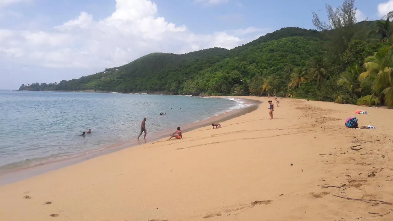 Marine Location Apartman Saint-François
